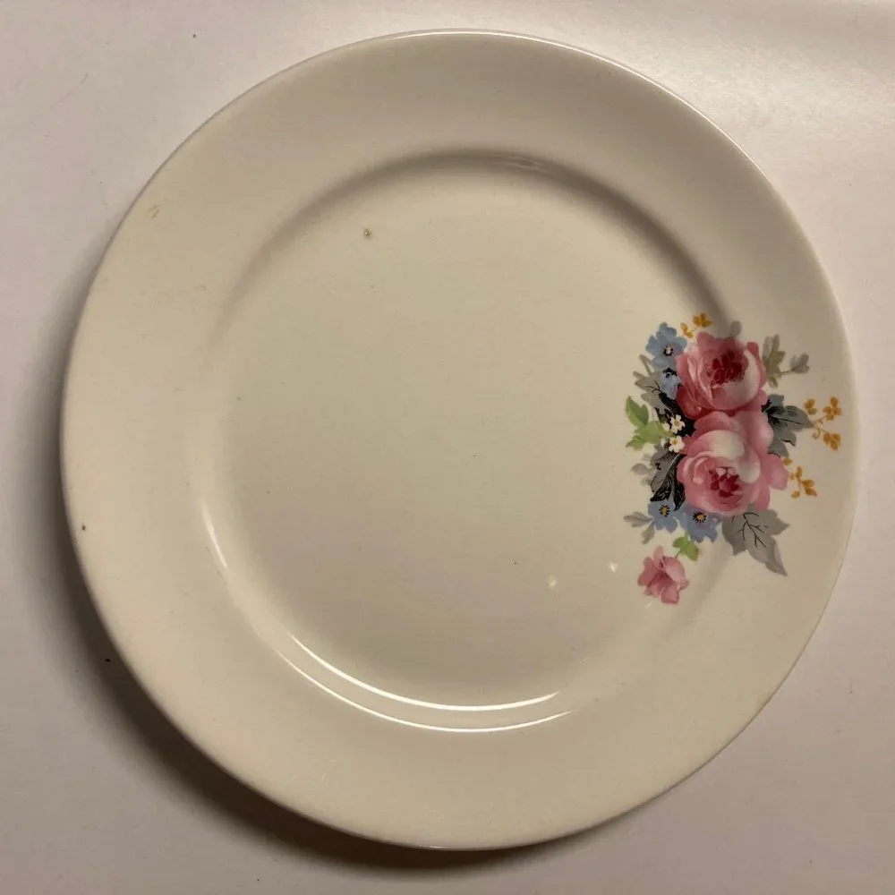 Vintage Dinner Plates (2) 9 Inches with Pink & Blue Flowers / Roses